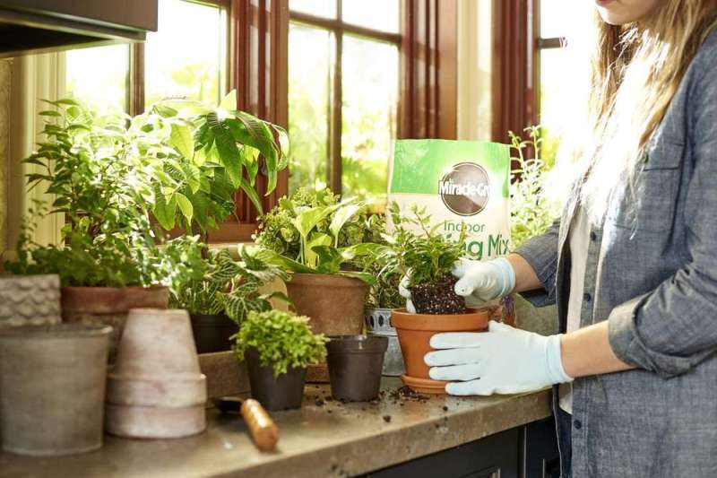 Indoor Garden Setups