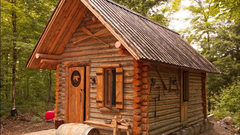 Log Cabin in Your Life1