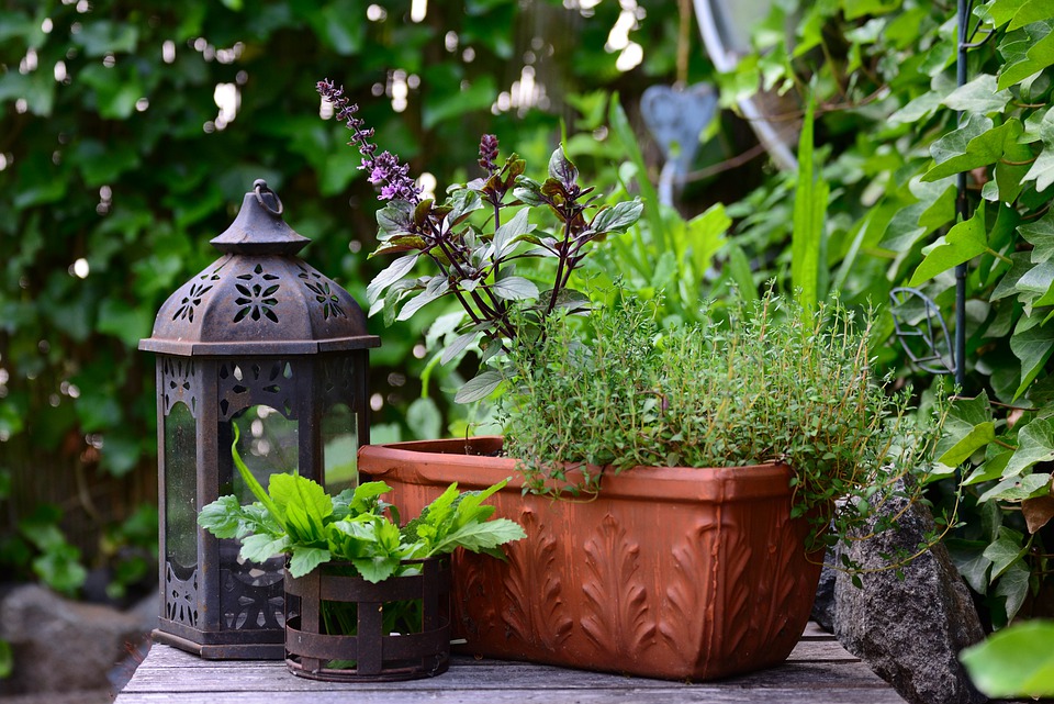 Protect Your Terrace Garden