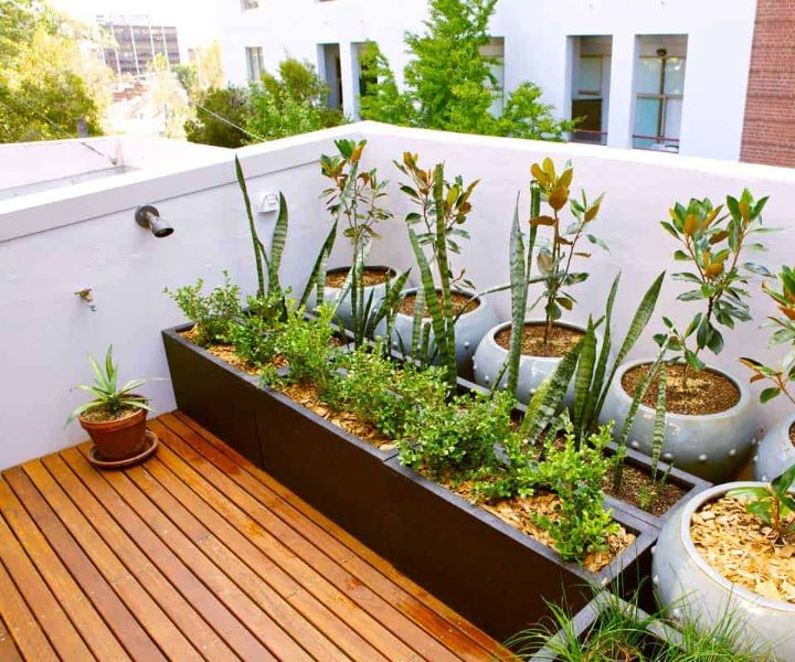Protect Your Terrace Garden2