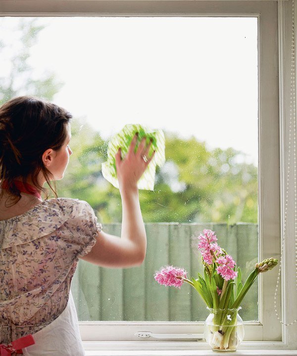 What Is The Best Thing To Clean Windows With? » Residence Style