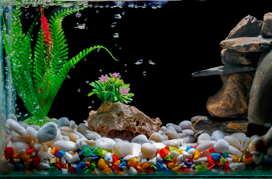 DIY Fish Tank Decorations: How to Make Aquarium Decorations at Home