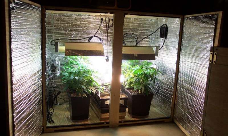 What Is A Grow Box