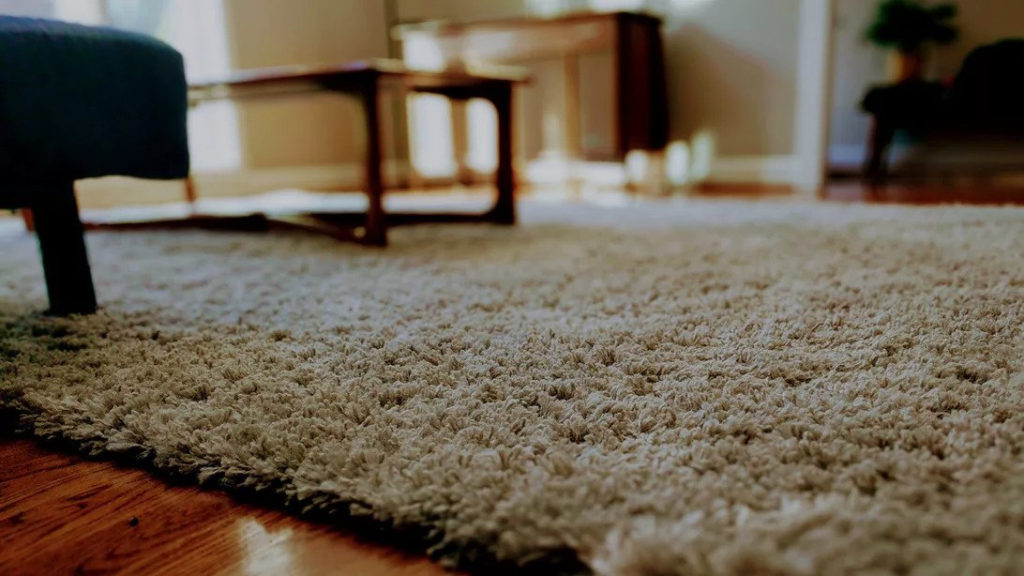 carpet for your home
