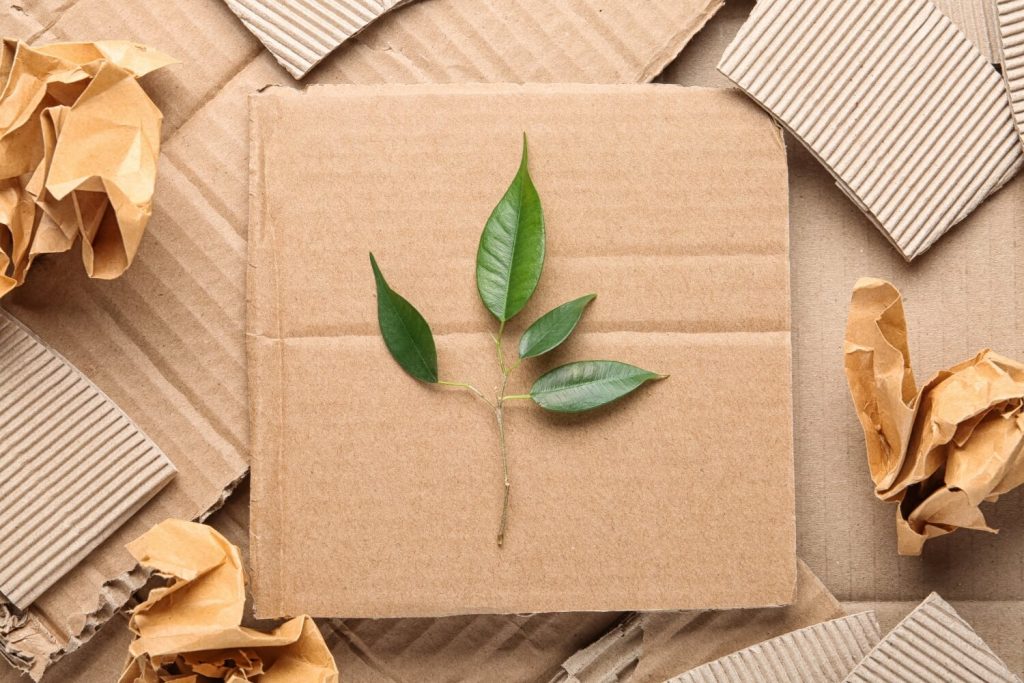 Sustainable Packing And Shipping2