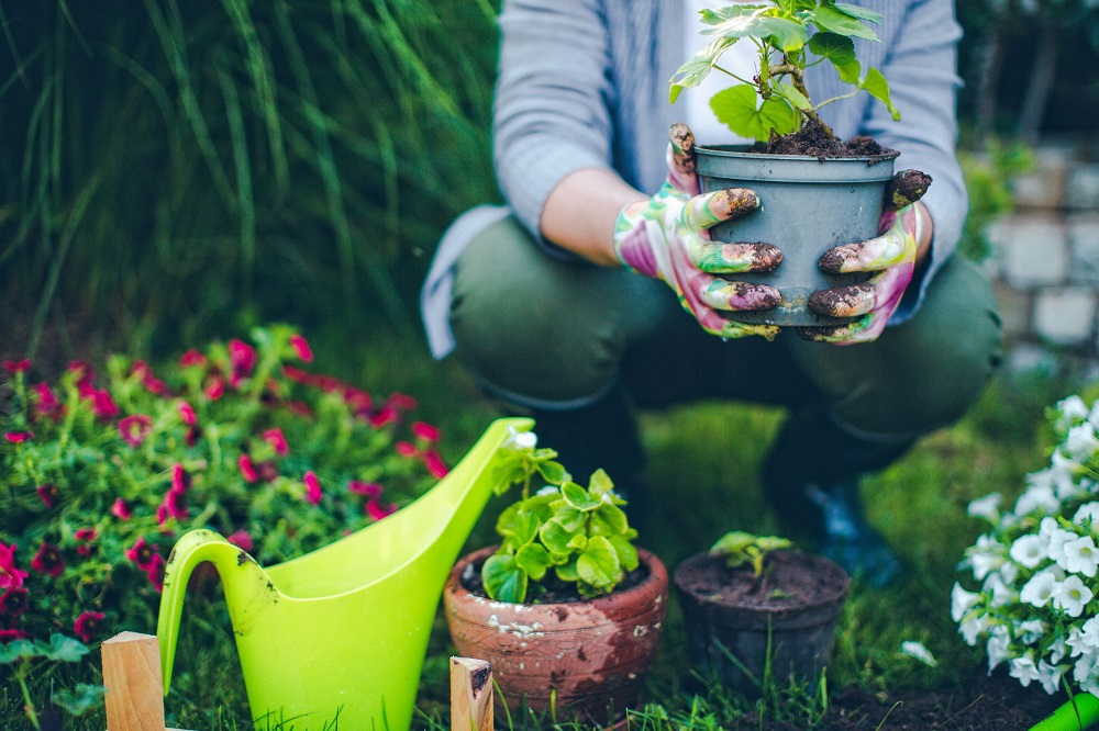 Gardening Safety Tips2