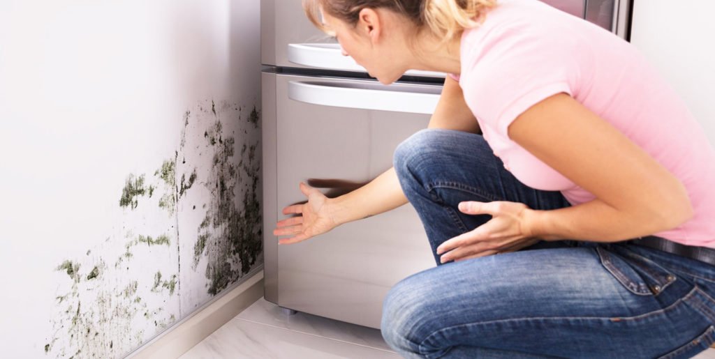 What Is Housing Disrepair? » Residence Style