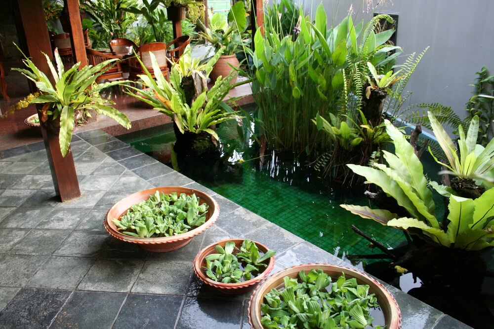 Indoor Garden2