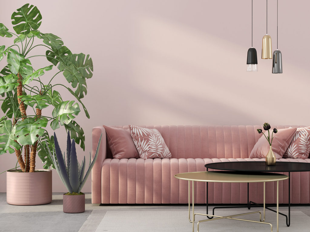 living room in pink with velvet sofa