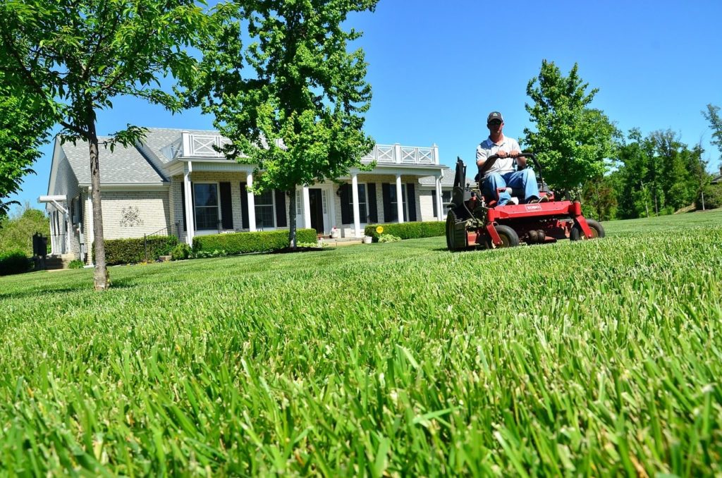 Professional Lawn Care Services1