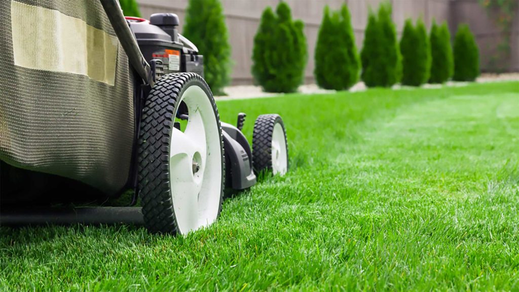 Professional Lawn Care Services2