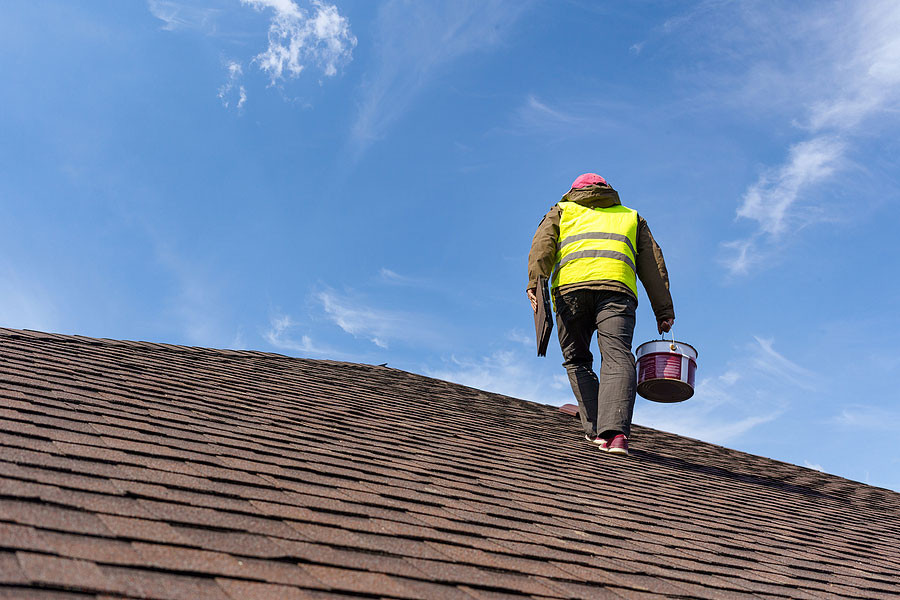 Professional Roof Inspection1