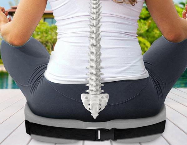 bone shaped cushion