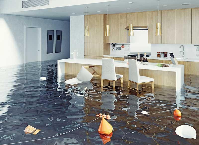Water Damage Restoration Guide For House Owners » Residence Style