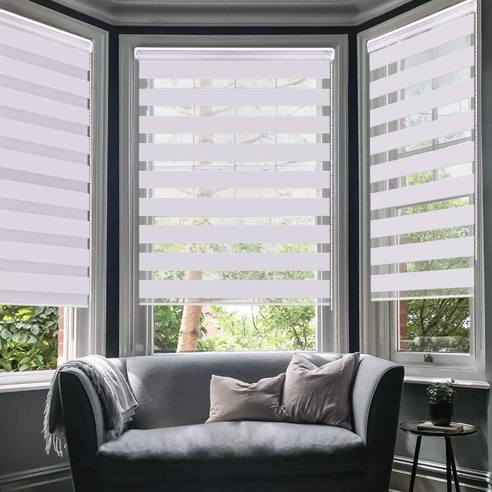 Window Blinds and Shades1