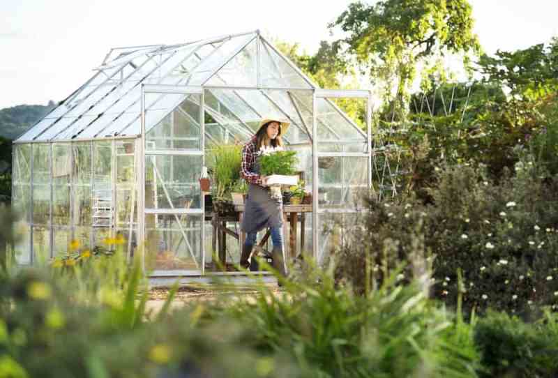 Choosing The Best Greenhouse For Your Home » Residence Style