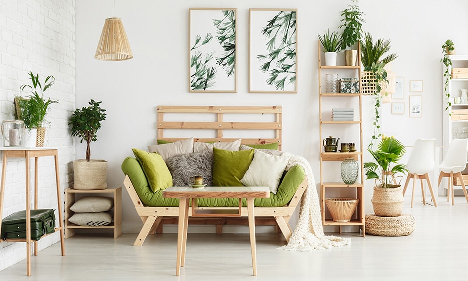Living Room Plant3