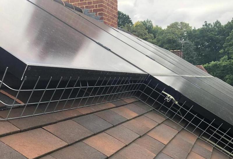 Pigeon Proof Your Solar Panels