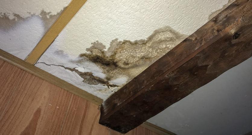 Ceiling Needs Water Damage Restoration