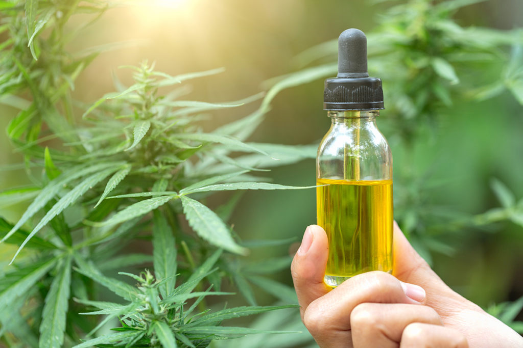 How Long Does Delta 8 Vape Juice Last? » Residence Style