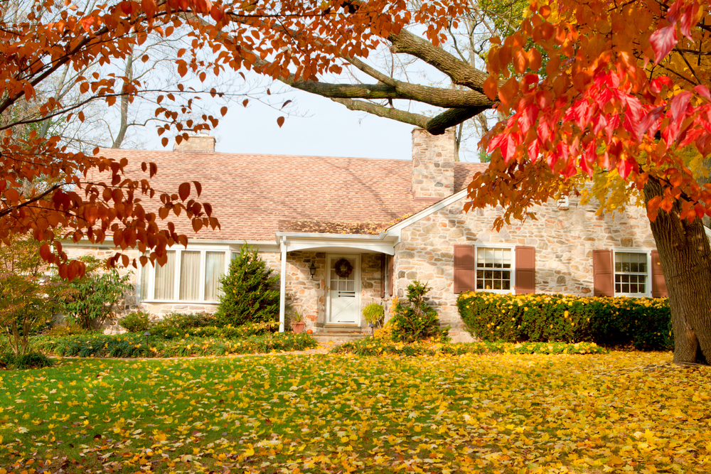 House Philadelphia Yellow Fall Autumn Leaves Tree