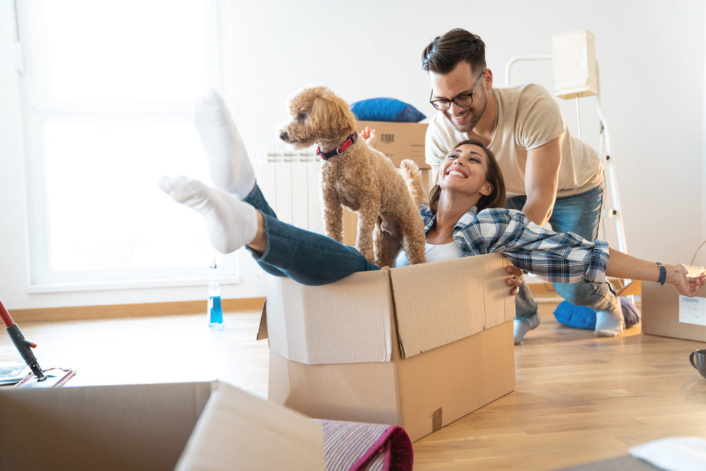 Young playful couple at their new apartment – Stock image