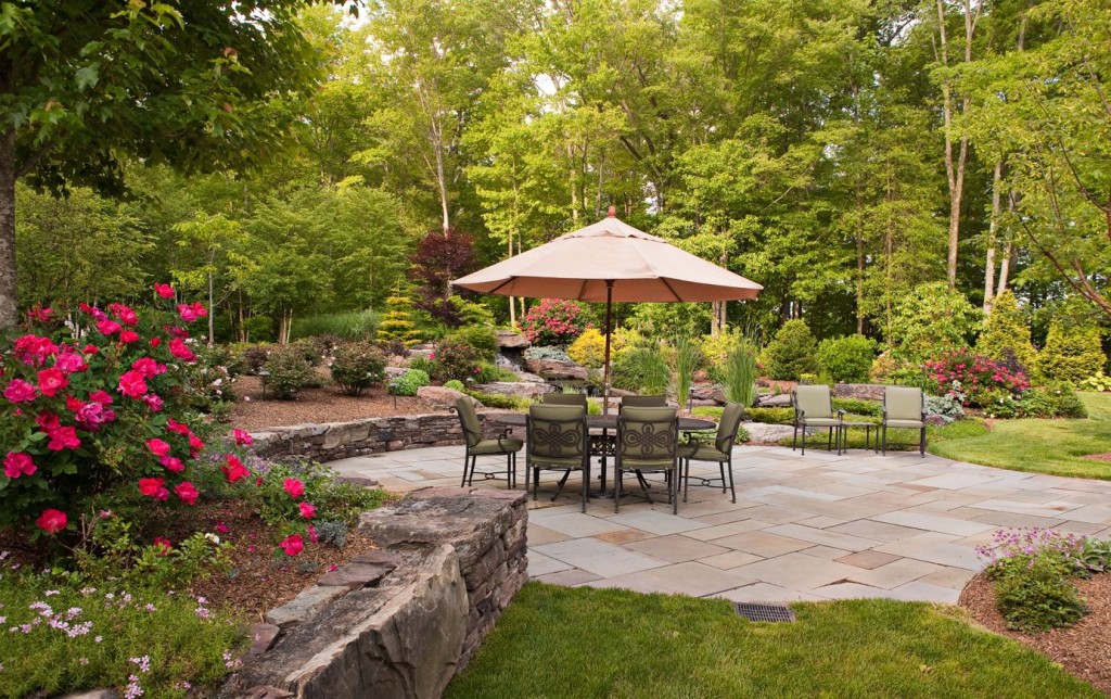 reinvent your backyard3