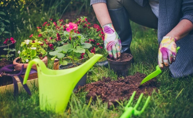 Gardening Improves Healthy Ingredients 1