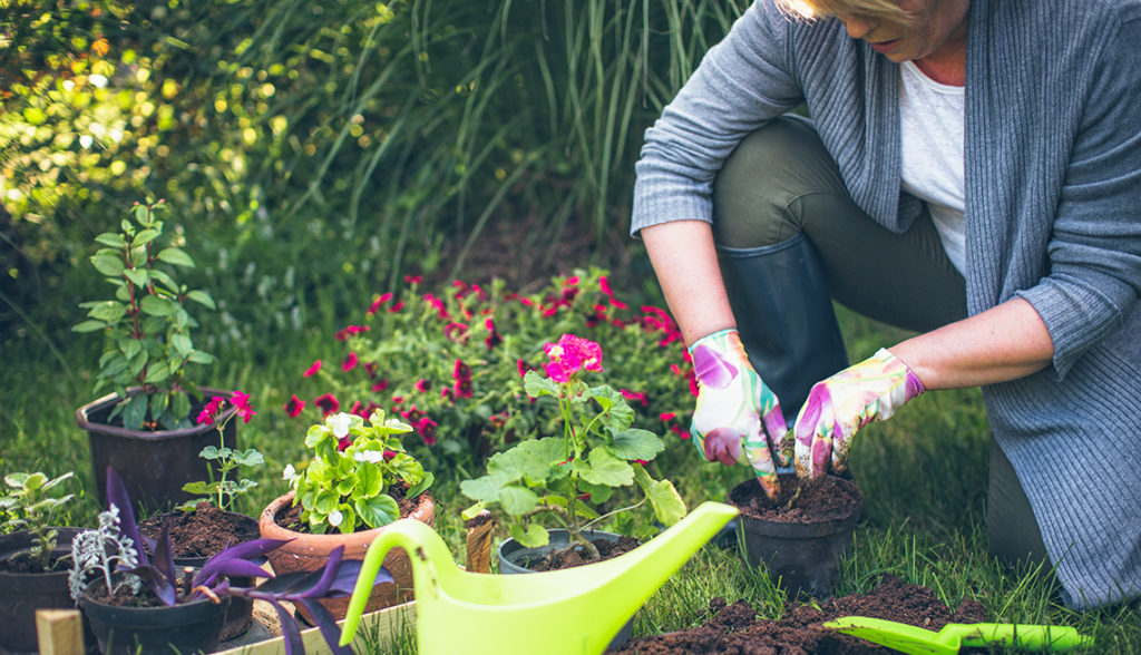 Gardening Improves Healthy Ingredients