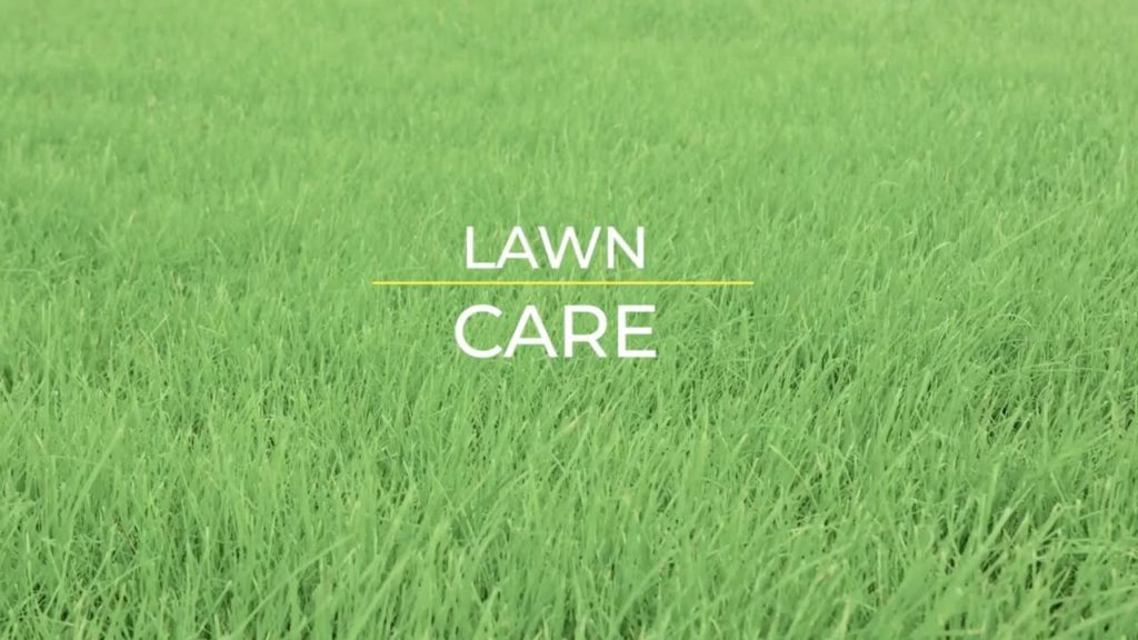 Lawn Care2