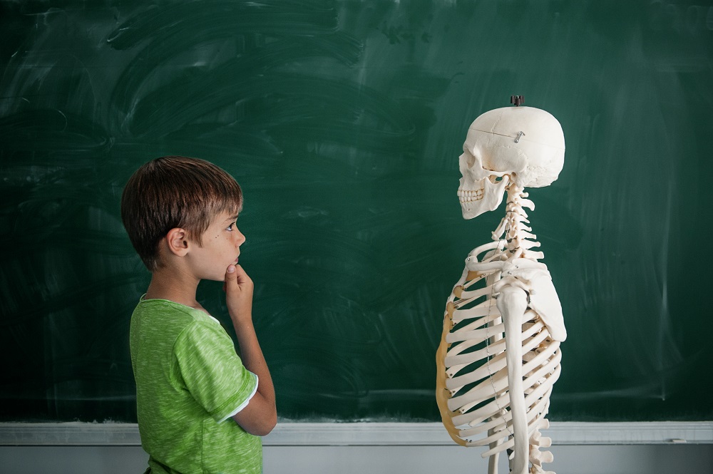 Student eye to eye with skeleton