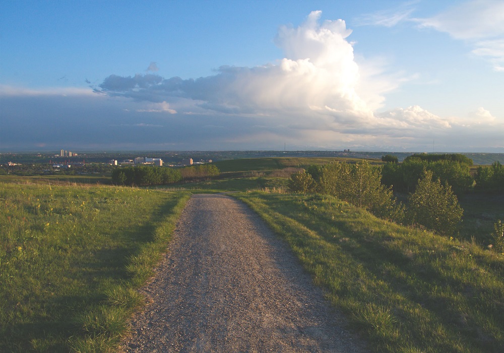 hike up Nose Hill Park