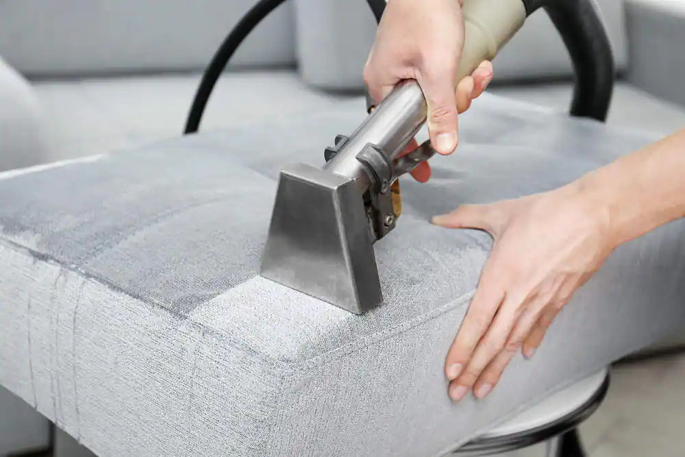 Upholstery Cleaning » Residence Style