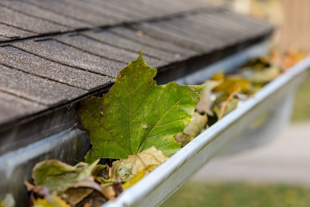 Gutter Cleaning Scams