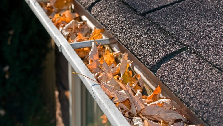 Gutter Cleaning Services1