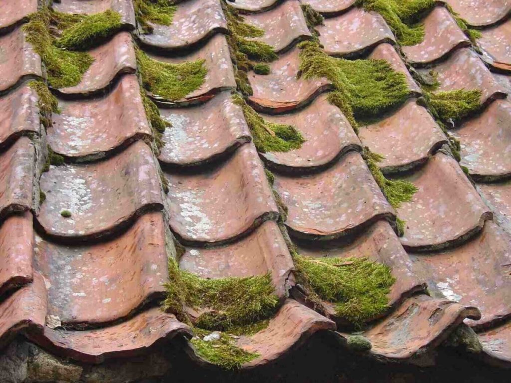 Replacing Your Old Roof2