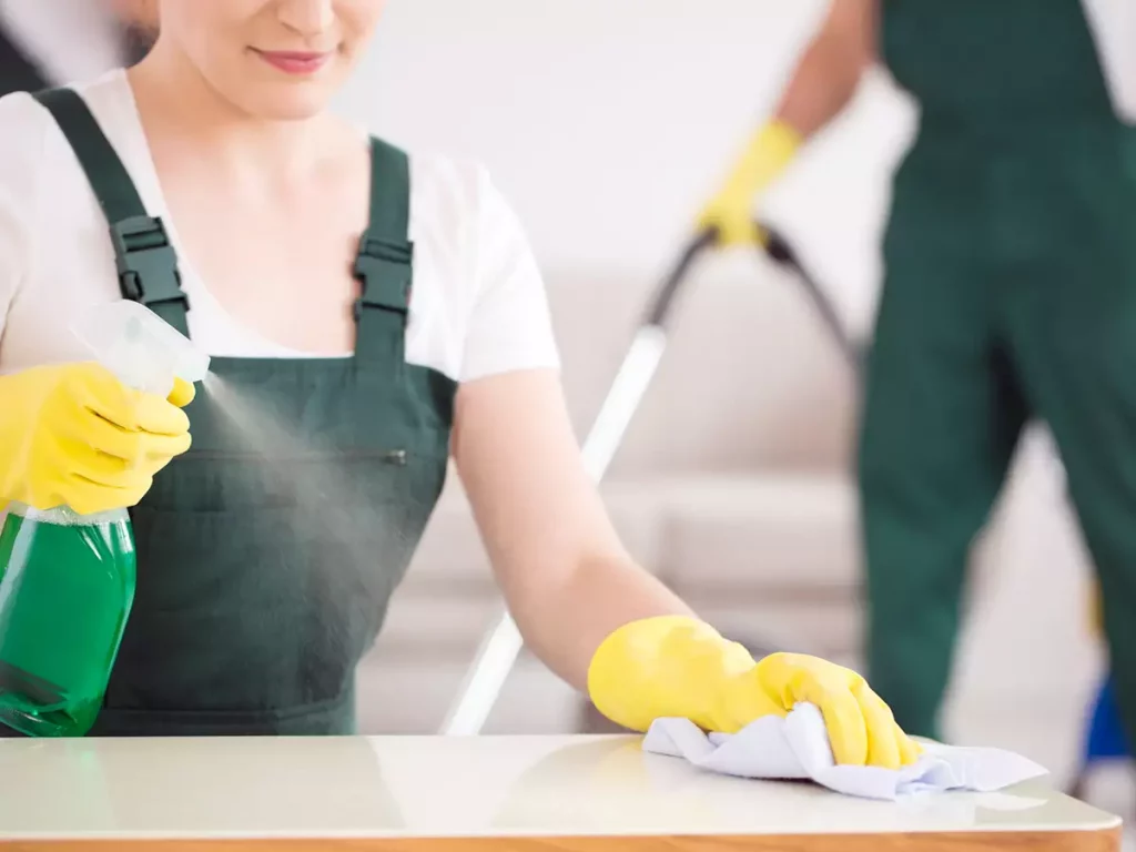 Professional Cleaning Services1