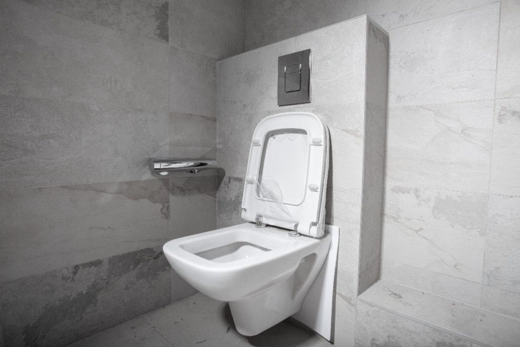 Professional Toilet Installation1