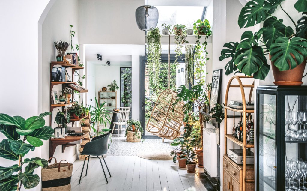 Plants 2