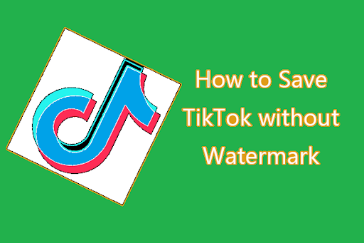 Save TikTok Videos