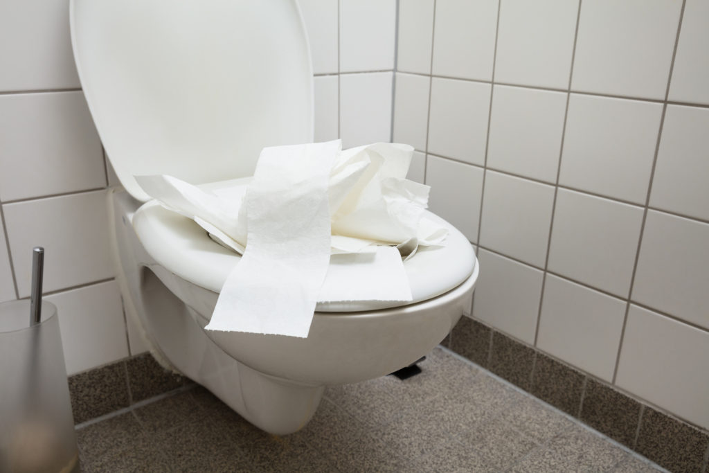 Toilet Paper Inside The Toilet Bowl