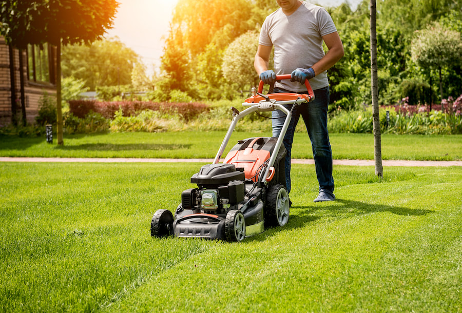 Tools Required for Lawn Maintenance