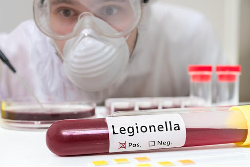 Legionella 1