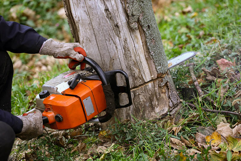 Man cutting tree with a orange chainsaw in his hands