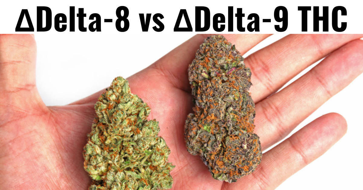 Delta 8 and Delta 9 THC 1