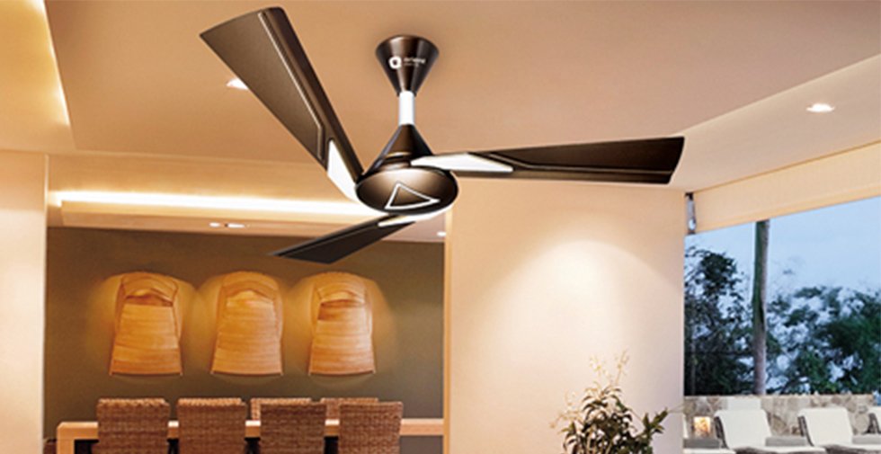 Ceiling Fans 1