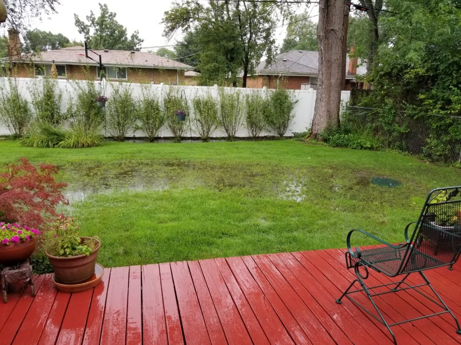 Flooded Backyard 1