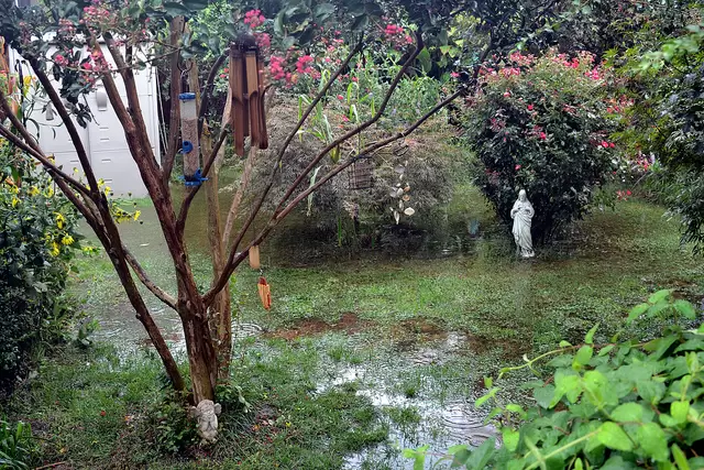 Flooded Backyard 2