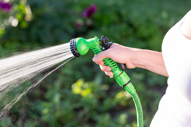 Woman’s hand with garden hose watering plants, gardening concept