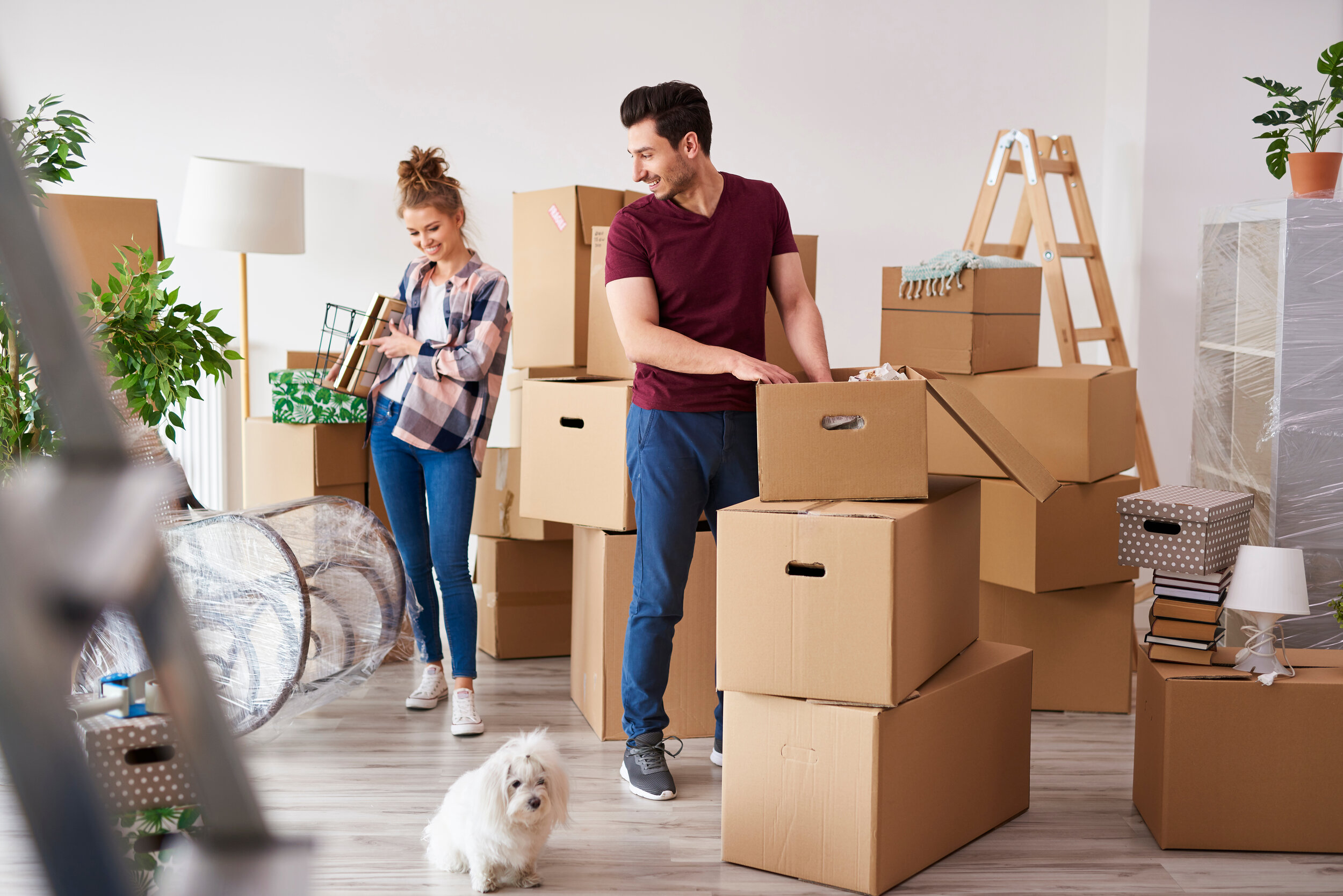 Young,Couple,Packing,Their,Stuff,Into,Boxes